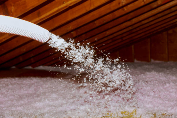 Best Geographic-Specific Insulation Services in Folsom, NJ