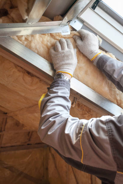 Best Residential Insulation in Folsom, NJ